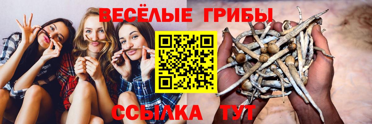 Псилоцибиновые грибы MAGIC MUSHROOMS Воскресенск